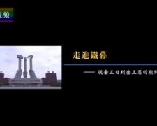 凤凰大视野：走进铁幕——从金正日到金正恩的